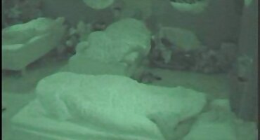 Slatka Plavuša porno filmovi sortirani jebeno u sve rupe