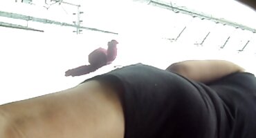 Na metalnom stolu porno filmovi sortirani u kategorije djevojka sa seks-igračkama