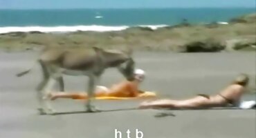 Lijepa lutka vješto grupni seks filmovi igrao prstima maca